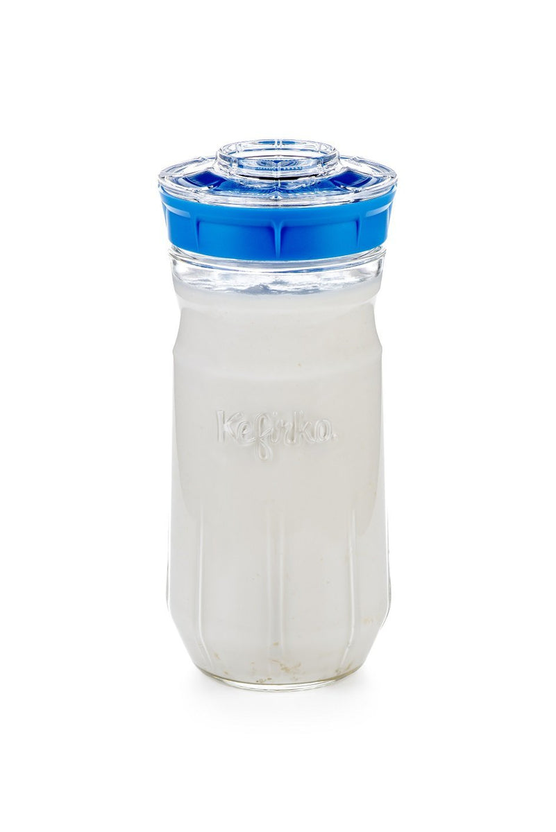 Kefirko Complete Kefir Starter Kit - Water & Milk Fermentation Kit - Easily  Make Kefir at Home (47 fl oz) (Dark Blue) 