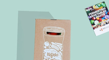 How to ferment Kimchi with the Kefirko Veggie Fermenter - Kefirko UK