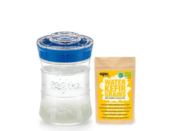 Kefirko Water Kefir Complete Starter Kit with Organic Grains (848ml) - Kefirko UK